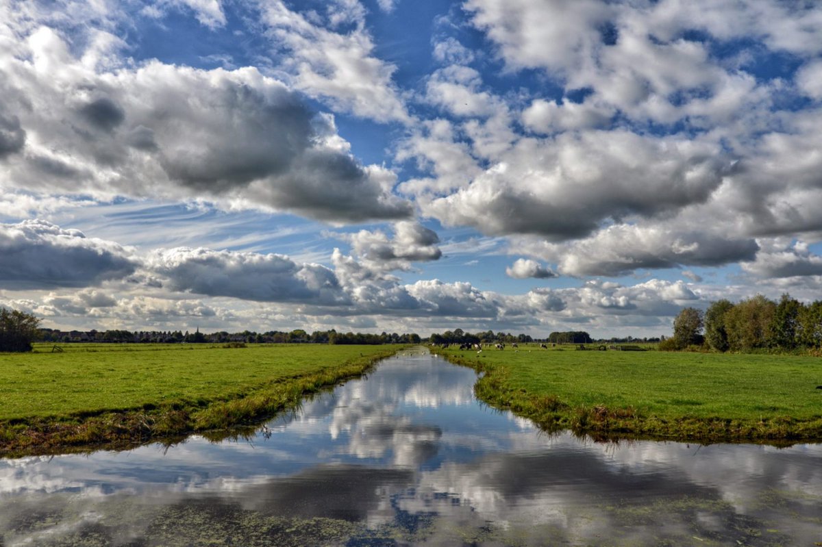 #Luchtkwaliteit in de #IJmond, het houdt de gemoederen bezig. 28/10 is er een online meet-up met deelnemers en wethouder @sdinjens over het project Hollandse Luchten. Wat zijn de conclusies na een jaar meten? Meer info &amp; aanmelden: brakijmuiden.nl. #schonelucht #dewaag