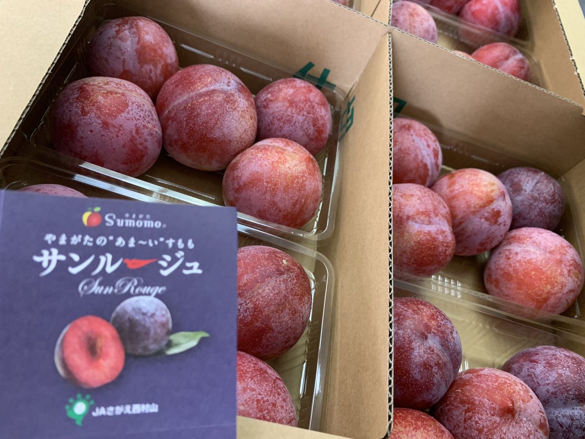 岸 勝久 プラム も終わりの品種が入荷して来ました その品種は 太陽 太陽プラム と ソルダム の掛け合わせで 名前が サンルージュ と言います 名前の由来は交配親の 太陽 Sun に 果皮も果肉も 赤い Rouge を合わせて命名され 岸 勝久 プラム も終わりの品種が入荷して来ました その品種は 太陽 太陽プラム と ソルダム の掛け合わせで 名前が サンルージュ と言います 名前の由来は交配親の 太陽 Sun に 果皮も果肉も 赤い Rouge を合わせて命名され