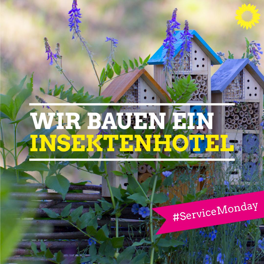 Gruene_RTK's tweet photo. Ja, es ist etwas uncool, in einem Tweet auf einen Facebook-Post zu verlinken. Aber: Unsere Bauanleitung fΓΌr ein #Insektenhotel ist es allemal wert, einen uncoolen Tweet rauszuhauen. π #ServiceMonday
https://t.co/STIMoqI3YZ https://t.co/VPd4zmiWMI