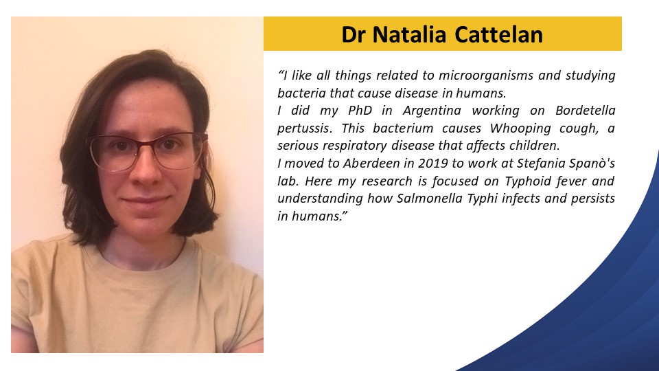 nvisionabdn's tweet photo. Meet Dr Natalia Cattelan! She fell in love with Salmonella Typhi and moved to Aberdeen in 2019 to learn more about it. Check her profile here: 
@aberdeensmmsn @aberdeenuni @nataliacattelan #NPAW2020 #LovePostdocs https://t.co/9SuAcmGqOw