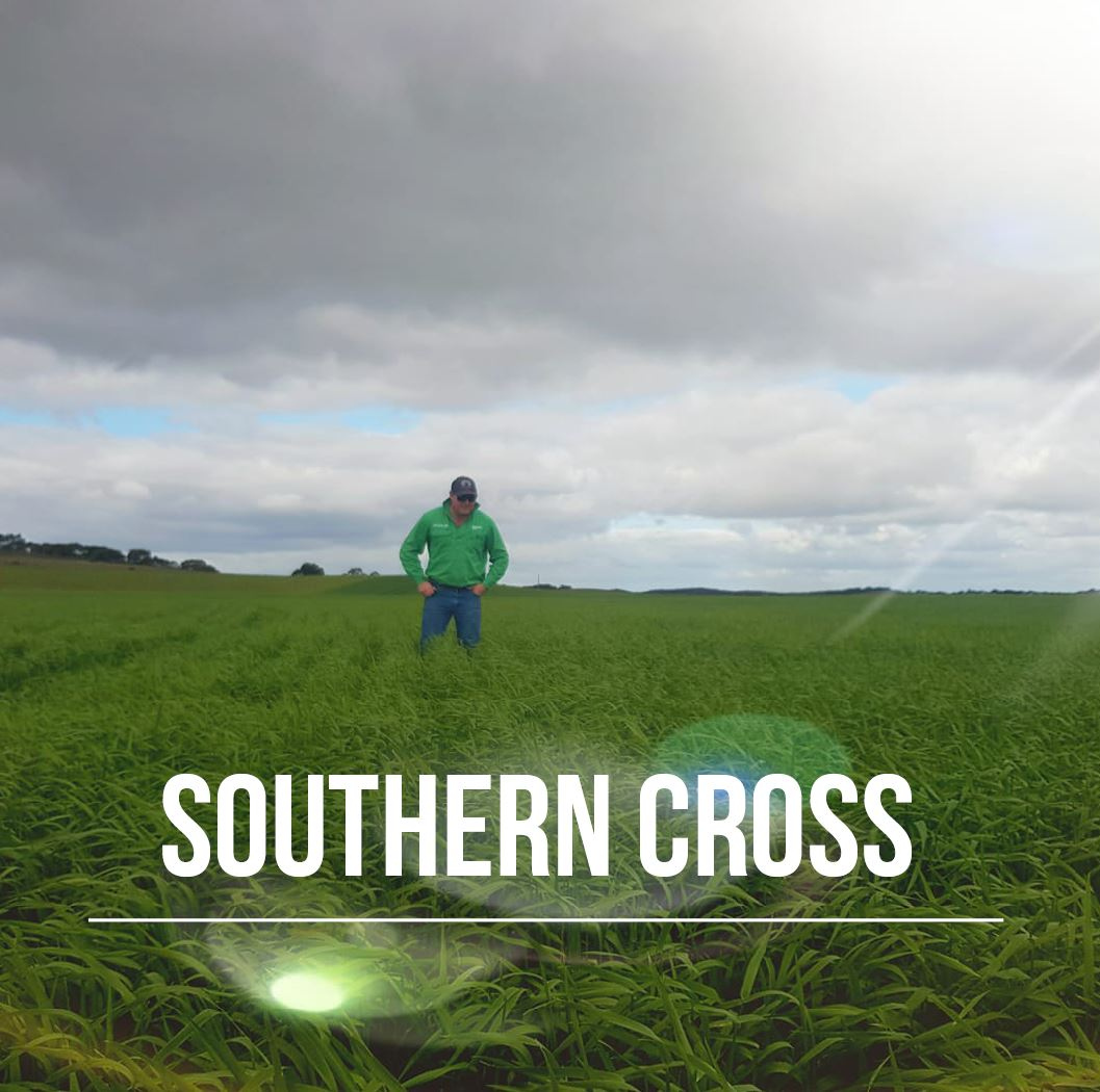 Thomas Farms tweet media