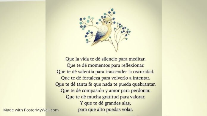 Vzla_21's tweet photo. @Sistha_Post @Bruce_wayne_67 @lord_nutrition @WaluiGiBro @nelidandueza @SorangelN @lidruzzka @MaraRodrguezV3 @Dcarmencitavccv @masiolita @lourdesSB @mariela0506 @LuisRGuerrero @lesuarezve @ortodentvzla @jjdiquez @Juanpavito @PazenVzla @Fe_Ante_Todo @gigigrillo23 @vmbb1970 @zarabanda4 @Susasun #BuenDía🌅🌟Bendiciones Constantes para tu Vida🌟
#FelizLunes y mejor semana🌈
Para cumplir nuestras metas y propósitos, esta semana que no nos falte:
🔹Valentía
🔹Fortaleza
🔹Fe
🔹Compasión y
🔹Gratitud
#ModoVida #LifeIsAMoment
@Bruce_wayne_67 @lord_nutrition @luiGiBrotherss https://t.co/Q9juhdIIm4