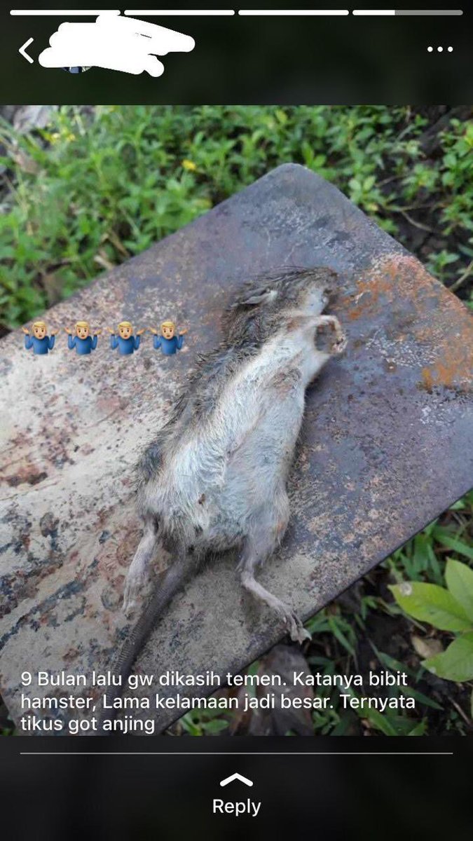 aMrazing's tweet image. HAHAHAHAHAHAHAHAHAHAHAHAHA TOLONG 😭😭😭🤡