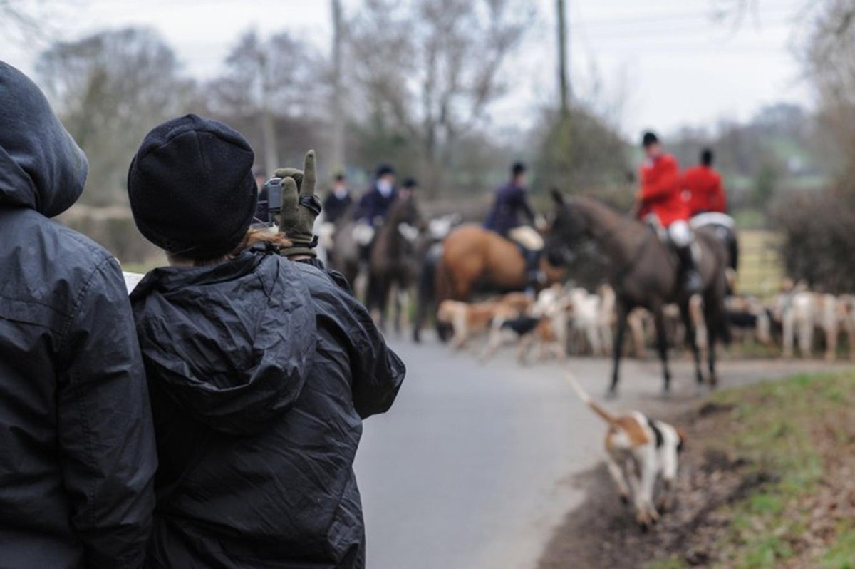 Explosive new report claims police across England regularly ignore reports of illegal fox-hunting, even when handed video evidence. Exclusive: (thread) independent.co.uk/news/uk/home-n…
