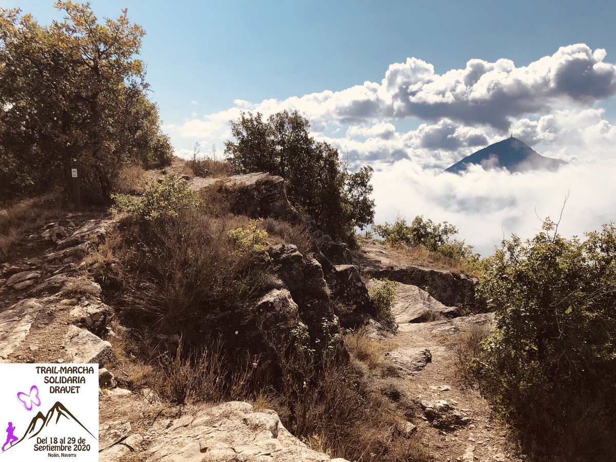 El Dravet Trail-Marcha es más que una actividad, es toda una experiencia que sale desde Noáin, recorriendo toda la Sierra de Tajonar 💜 
Tienes hasta el día 29! Corre o anda! 🏃🏻‍♀️🏃🏻‍♂️ pero no te lo pierdas 😉

Reglamento ➡️ bit.ly/3ceO4oY

#Running #Navarra #Dravet