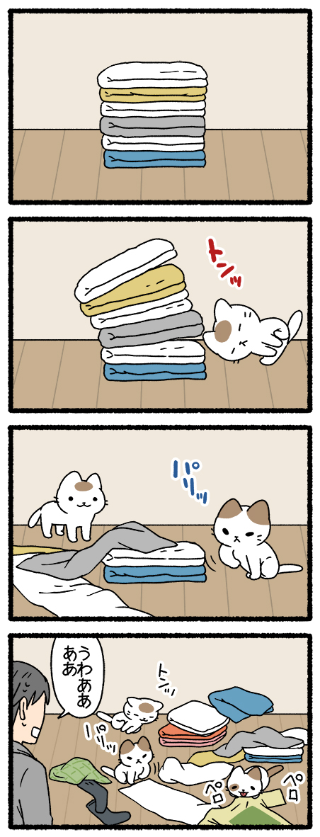 ねこようかい かまいたち
#ねこようかい 