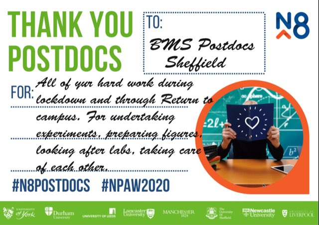 KathrynProf's tweet photo. #N8postdocs #NPAW2020 @bmssheffield https://t.co/BcJI7gbUfD