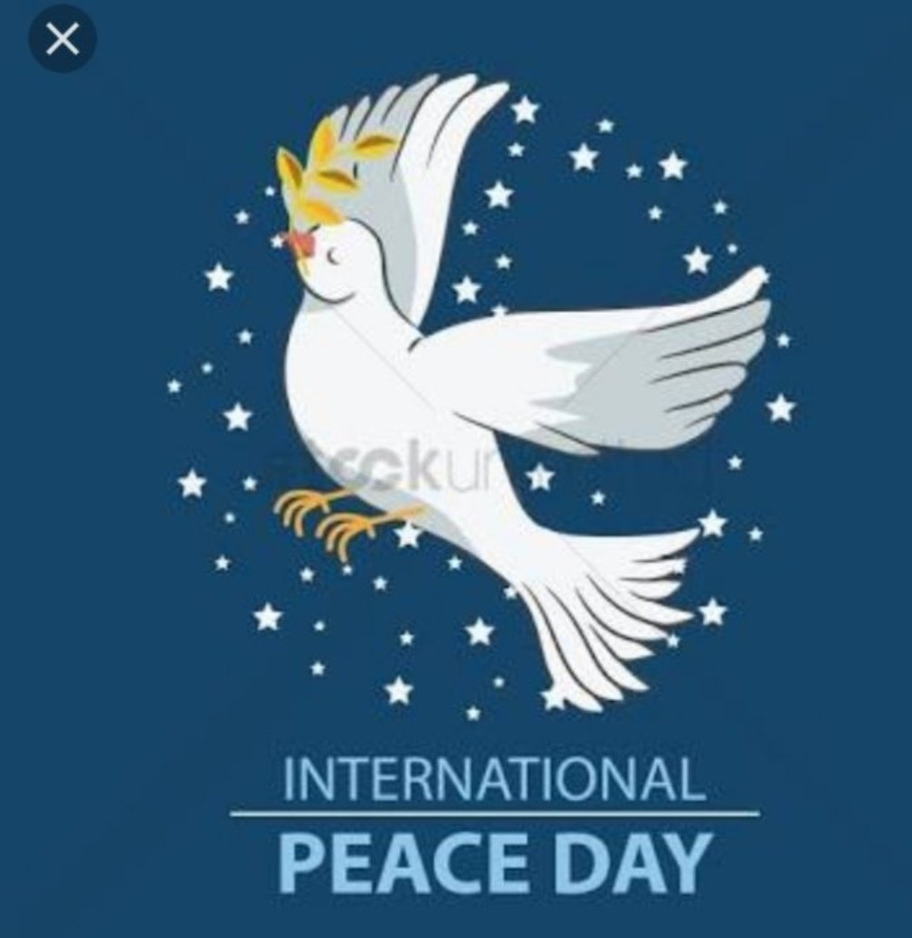 MohamedShali's tweet photo. Today marks the International Day of Peace. Theme “Shaping Peace Together.” Let us celebrate the day by spreading love, humanity, compassion, kindness &amp; hope in the face of the pandemic. #InternationalDayofPeace2020 
#Inuka  @KYBI_ke @SFCG_Kenya @EUinKenya @UNDPKenya @USAIDKenya https://t.co/MlqngclAoK