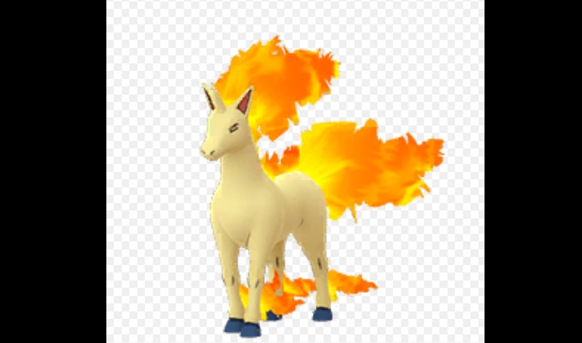 ポケモン リアルギャロップ Twitter Search