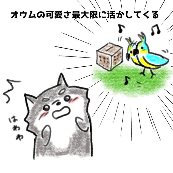 マイクラあるあるのtwitterイラスト検索結果 マイクラあるあるのtwitterイラスト検索結果