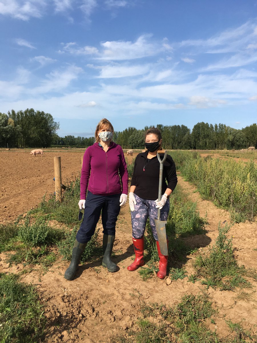 chapmanpippa's tweet photo. Was great to be out soil sampling @UniversityLeeds farm as part of @UKCRP_SPF with @marcelogaldos @MeganTresise, ishwar pun and murilo vianna @GlobalFoodLeeds @SoGLeeds https://t.co/PALzstVizP