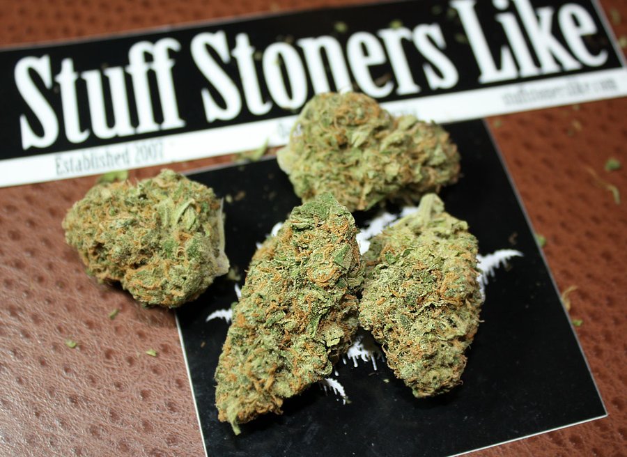NationWideKush's tweet photo. Jack Herer

We ship weed to all 50 states! If you'd like a menu, or details on how this works shoot us a message. https://t.co/rtTXo1oFtc