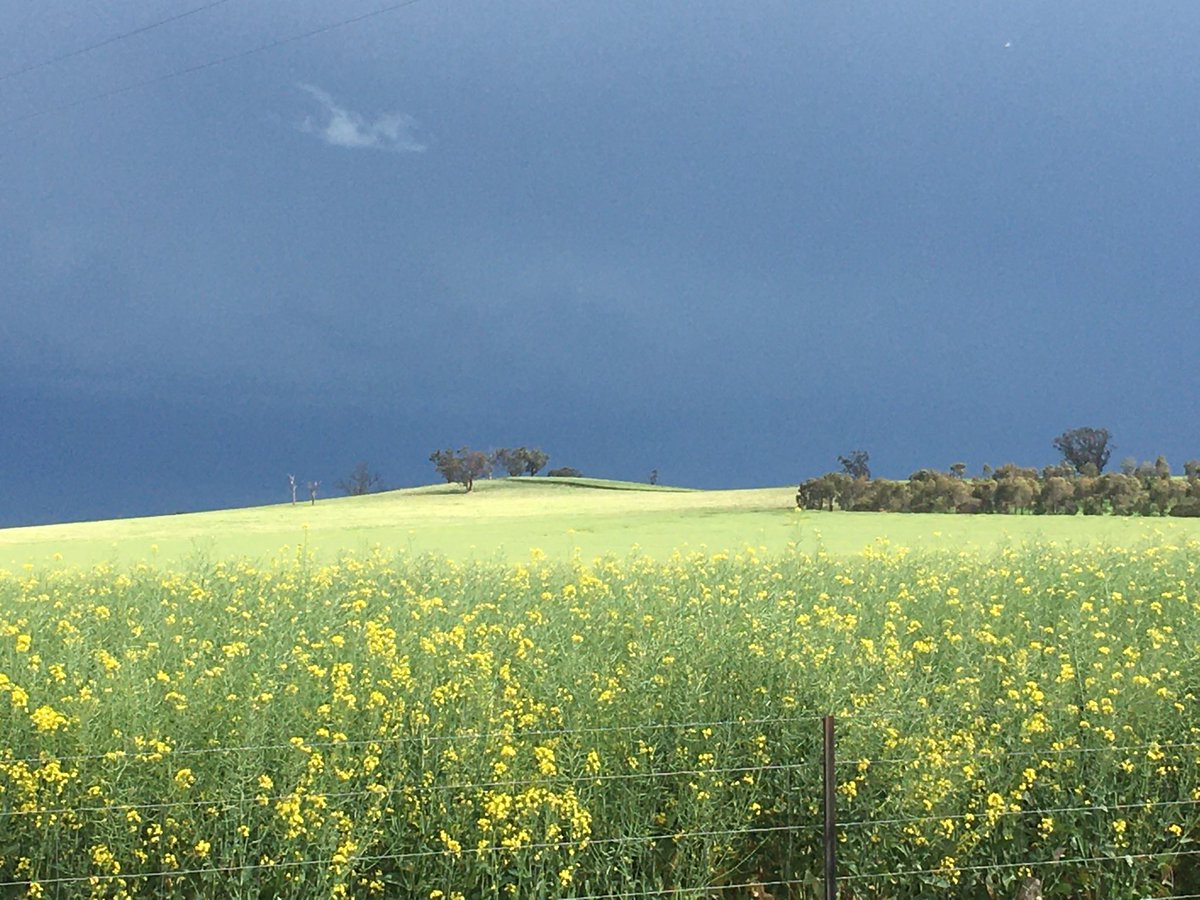 Deb Charlton tweet media