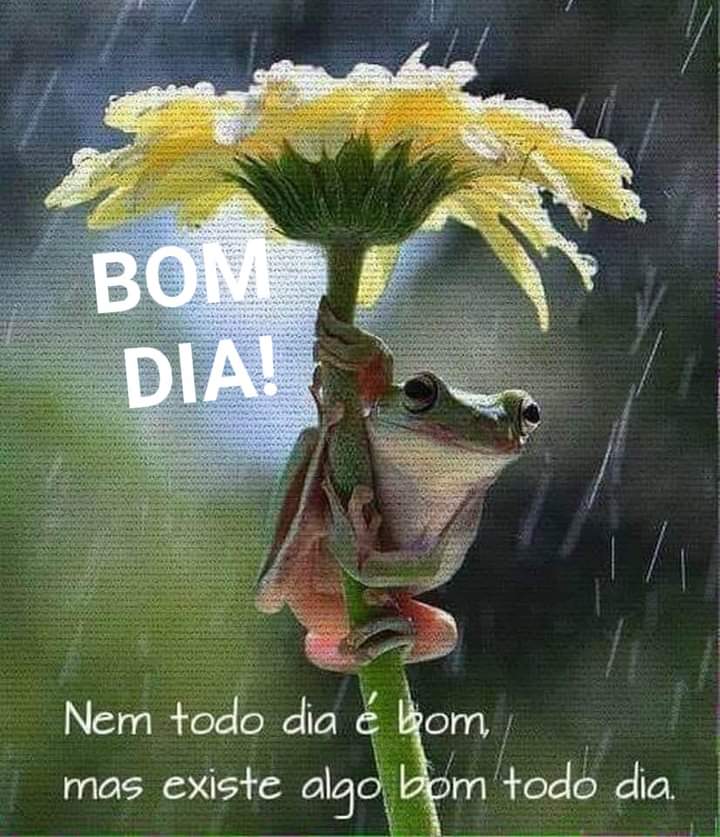 <a href="/terra_ze/">Zé da Terra</a>