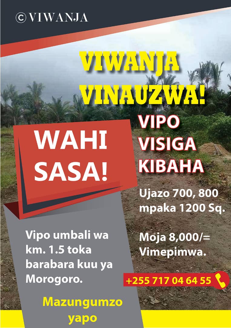 mvumotv's tweet photo. https://t.co/xqUio2RXMN