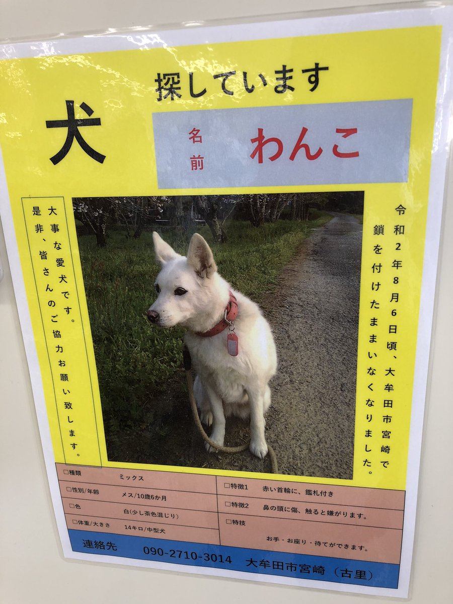 oroku_89's tweet photo. 名前もうちょいなんかあっただろ。 https://t.co/IFuJrvmyz6