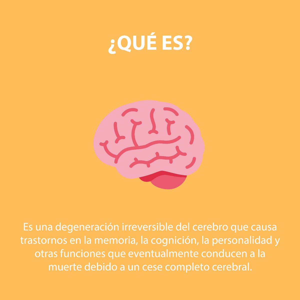 CoravisO's tweet photo. https://t.co/7G5zWSSrLC