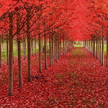 Neshaneha (@neshaneha1) on Twitter photo 