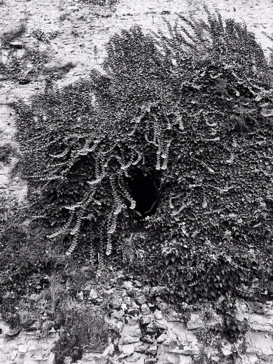 Eatself2's tweet photo. I saw a #Gorgon face on the battlements from #Autun #Mythology #Eatself #turntostone #silence #snake #imagination https://t.co/IsJ4OPjHeG