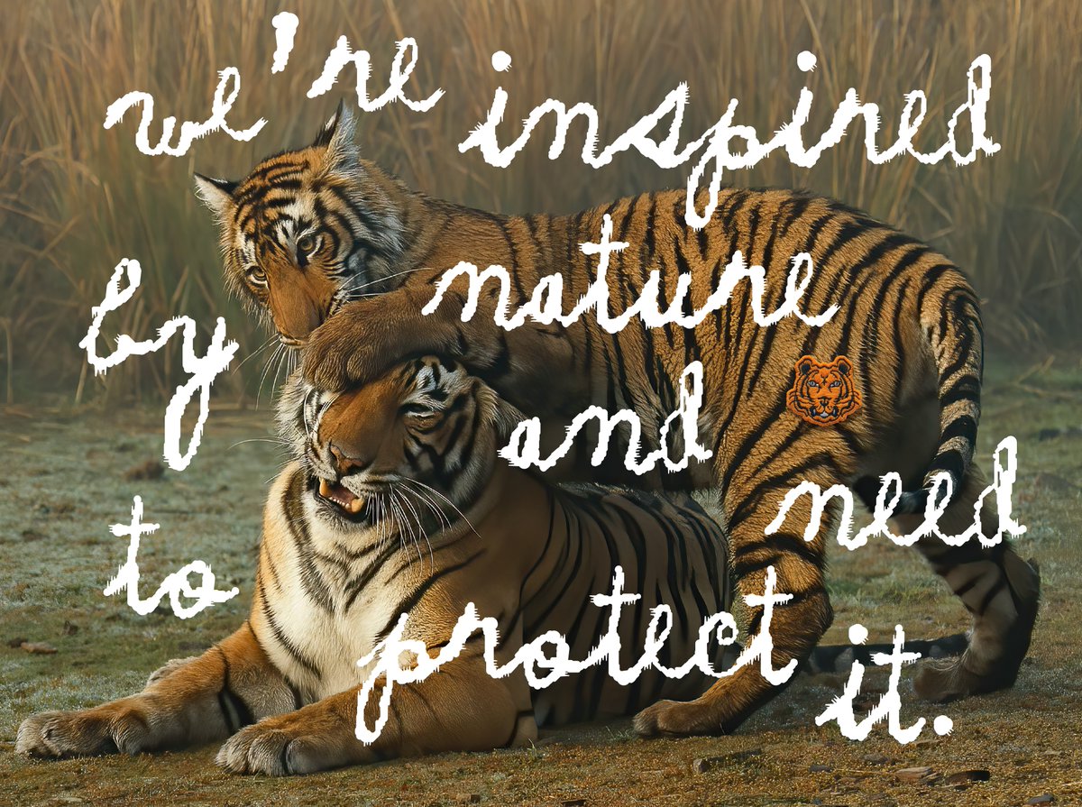 Wwf Tigers Wwf Tigers Twitter