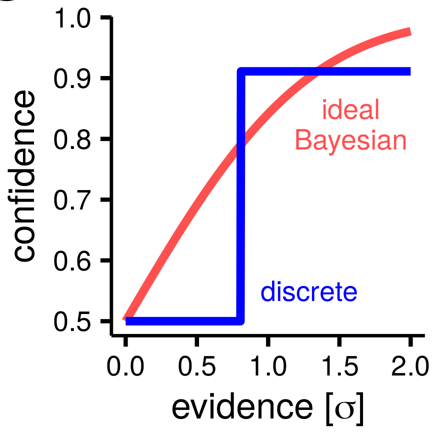 Surprisingly, the best description of observed behaviour was provided by a simple model in which confidence was discretized in two levels (uncertain vs confident) as if obtained by comparing a point estimate to a single confidence criterion.