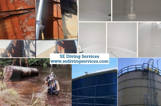 DivingSe's tweet photo. Check out our new website! https://t.co/BfENivQY0M #Website #Web #CheckOut https://t.co/0ECxGi5b8P