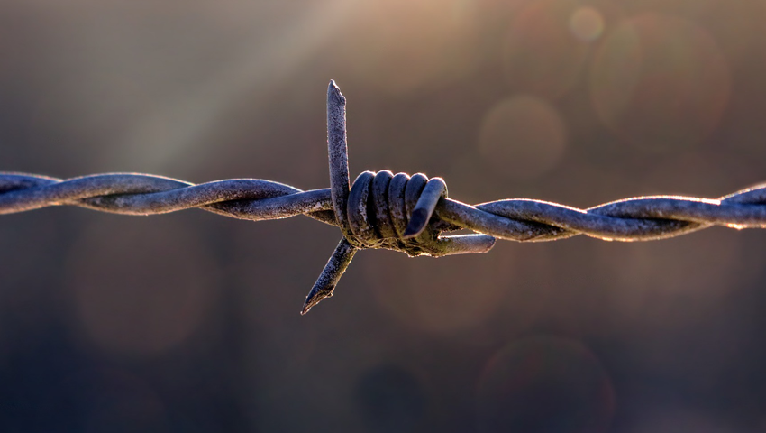 ThomasL31886099's tweet image. Understand four major limitations of Microsoft Dynamics 365 Portals
#Dyn365 #portalsolution #Dynamics365 #msftdynamics365
crmjetty.com/blog/dynamics-…