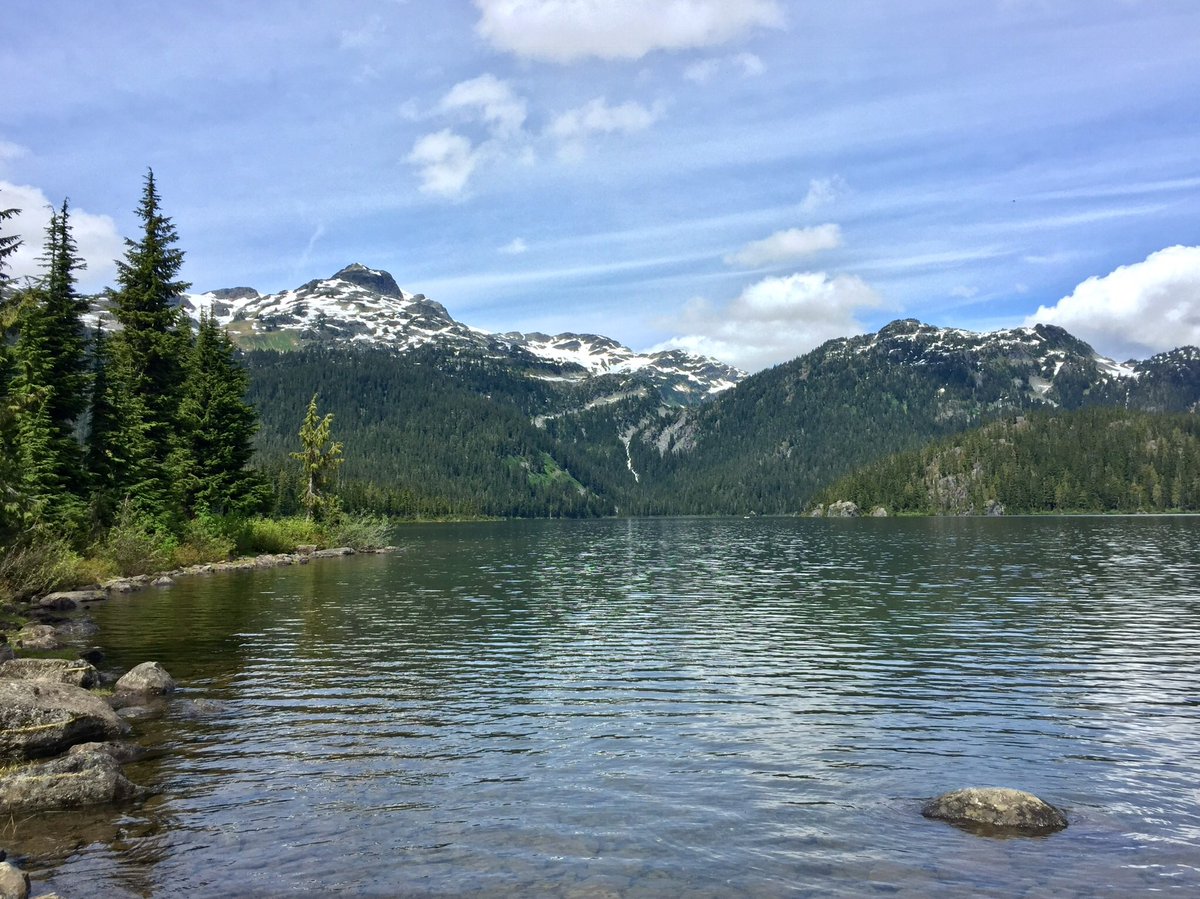 #Top4Theme with #Top4Wilderness shots #nature #photograghy 
Join in and tag hosts
@Giselleinmotion @CharlesMcCool @Touchse 

#olympicpeninsula @WAStateAwesome #misticohangingbridges @costaricadotcom 
@WatertonLakesNP 
#callaghanlake near @WhistlerBlckcmb