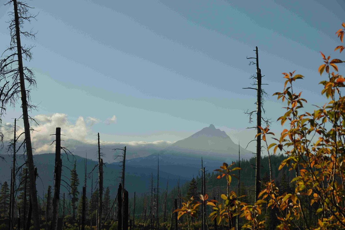 ForestServiceNW's tweet photo. This morning, we have  27 large #wildfires burning 1,576,213 acres across Oregon &amp; Washington with:

—9,009 Fire personnel 
—216 Crews
—503 Engines
—57 Helicopters

Please be safe out there! https://t.co/h0aKuwj4AU