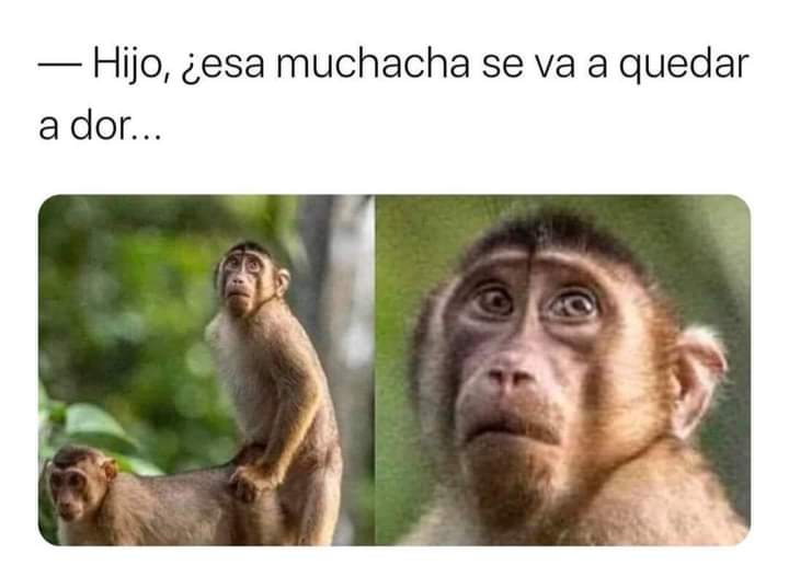 JafethLopez8's tweet photo. https://t.co/5jlovADQm6