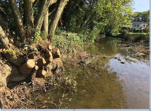 EnvAgencyMids's tweet image. Before and after pics. Our field team has been working in the Alcester area #Warwickshire to prevent blockages by clearing a fallen tree from the River Arrow #flood #teamEA