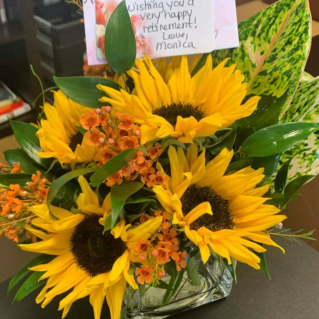 alysoncarp1's tweet photo. Beautiful surprise from someone I adore to remind me that I have been richly blessed by my time in Athens City Schools! #OneAthens #LastFullWeek!! 🖤💛 https://t.co/xh7fgsWRoI https://t.co/vD6Eq3FpzZ