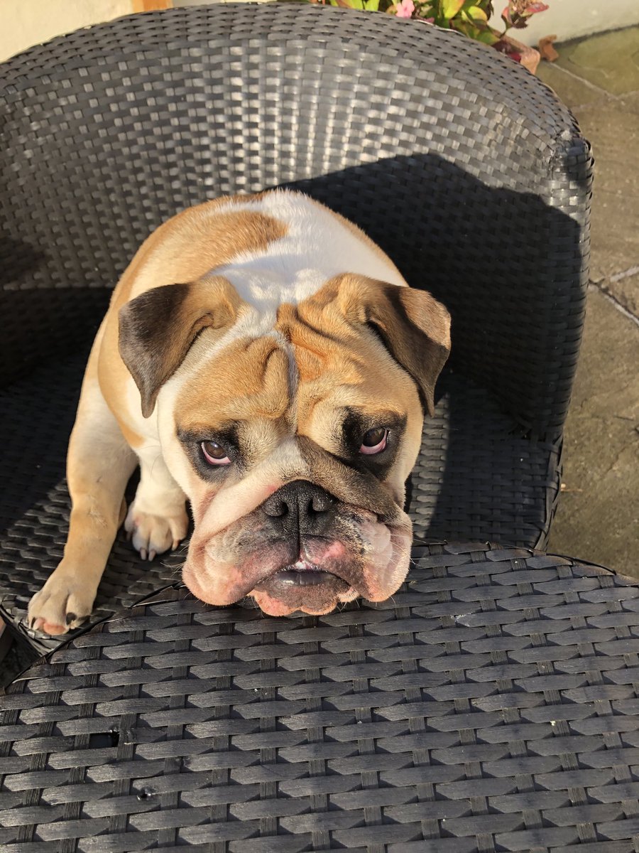 Emmet Farrell tweet media