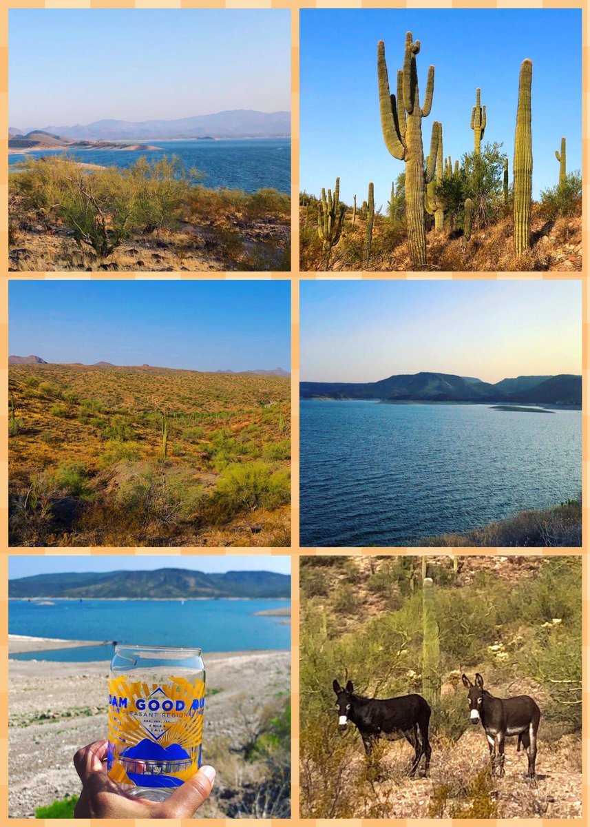 Marce_AZ's tweet photo. Pics from yesterday’s 26K trail race. It was GREAT for 13 miles and TOUGH for the last 3 miles 🥵🔥🌵. Heat exhaustion is no joke. ♥️Desert, lake, and wild donkeys! 16.15mi ✅ #TrailRun #RunHappy #Arizona #MondayMotivation #MondayVibes #DamGoodRun #NAFlagvisor @aravaiparunning https://t.co/bjl9yqHYfB