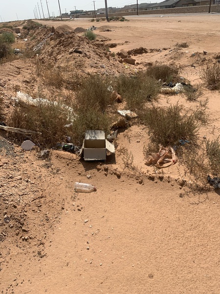 NHS member Anthony St. Germain cleaning up our community on National Clean Up Day! You're awesome, Spartan! #RISE #TeamSISD