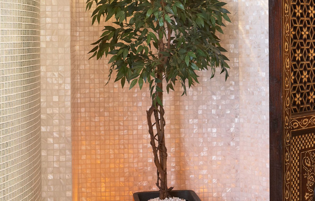 Siminetti tweet media