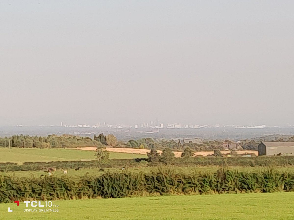 Eric The Beagle 🏴󠁧󠁢󠁥󠁮󠁧󠁿 (@ericthebeagle2) on Twitter photo 