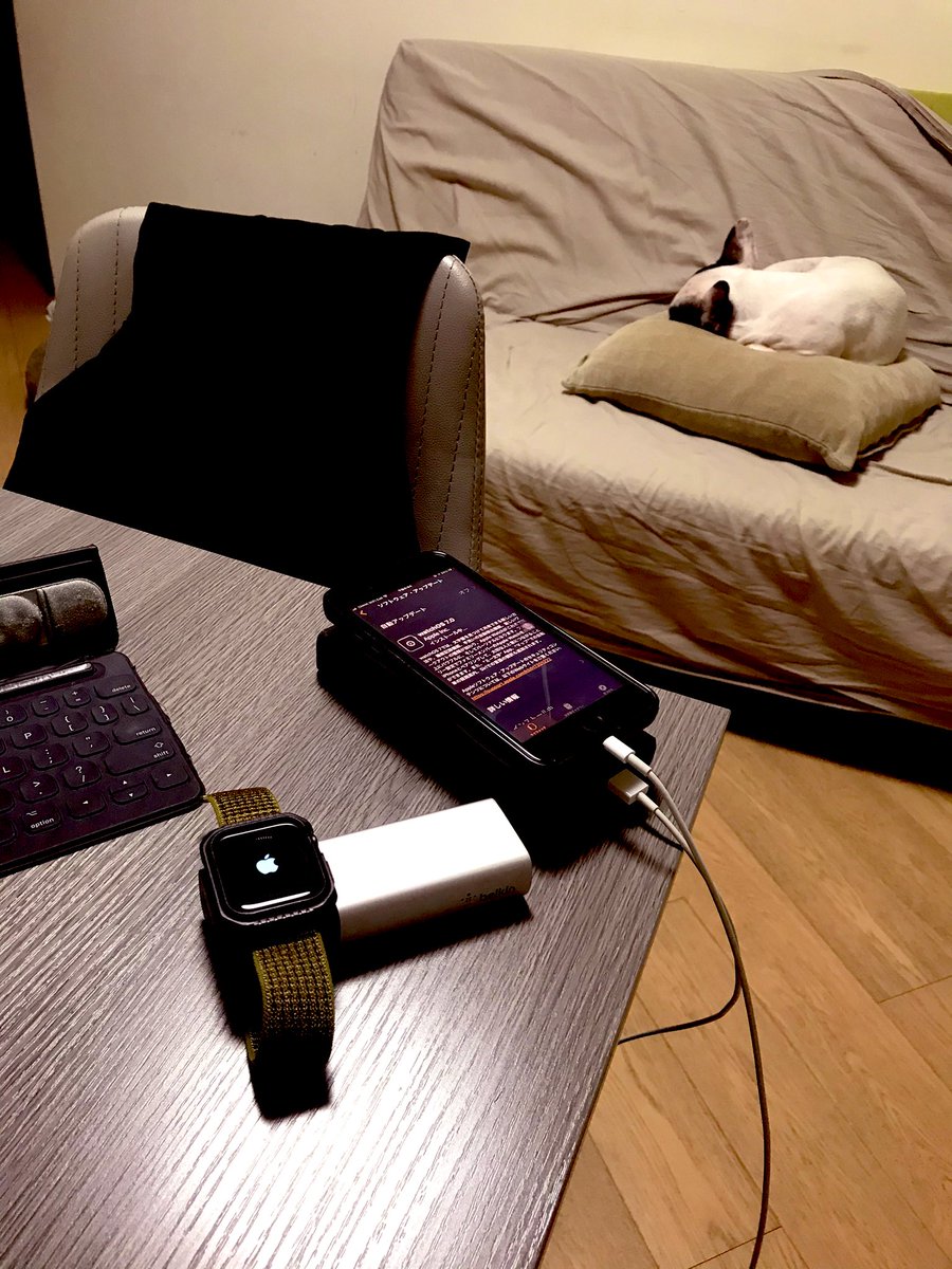 cantonese_slang's tweet image. watch os7.0にアプデ中 #applewatch #watchOS7