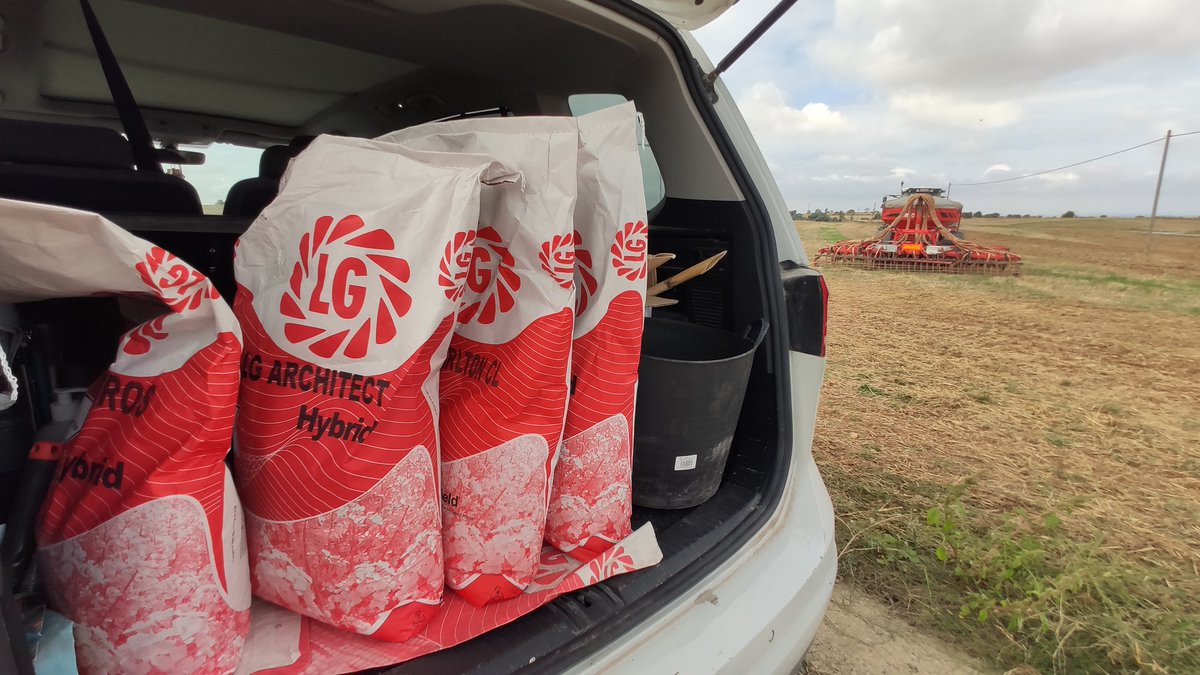 alsolsona's tweet photo. Avanza la siembra de #Colza en #Cataluña !!!. @LGSeedsES #Conill
#LG_Architect https://t.co/M38iUeOKCI https://t.co/FyBZIs5AHj