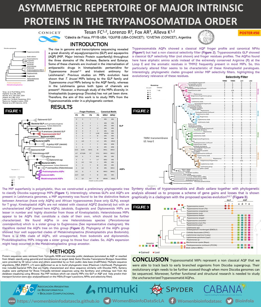 FTesan's tweet photo. Today starts the #1WBDS_LA ! @BioinfoLa We share some of our results on Major Intrinsic Proteins in the Trypanosomatida order (Poster50: #GenomicsandEvolution) #VirtualPostersSession https://t.co/hT9O0fceHb PI: @k_alle_va https://t.co/5mU9B7XJDr