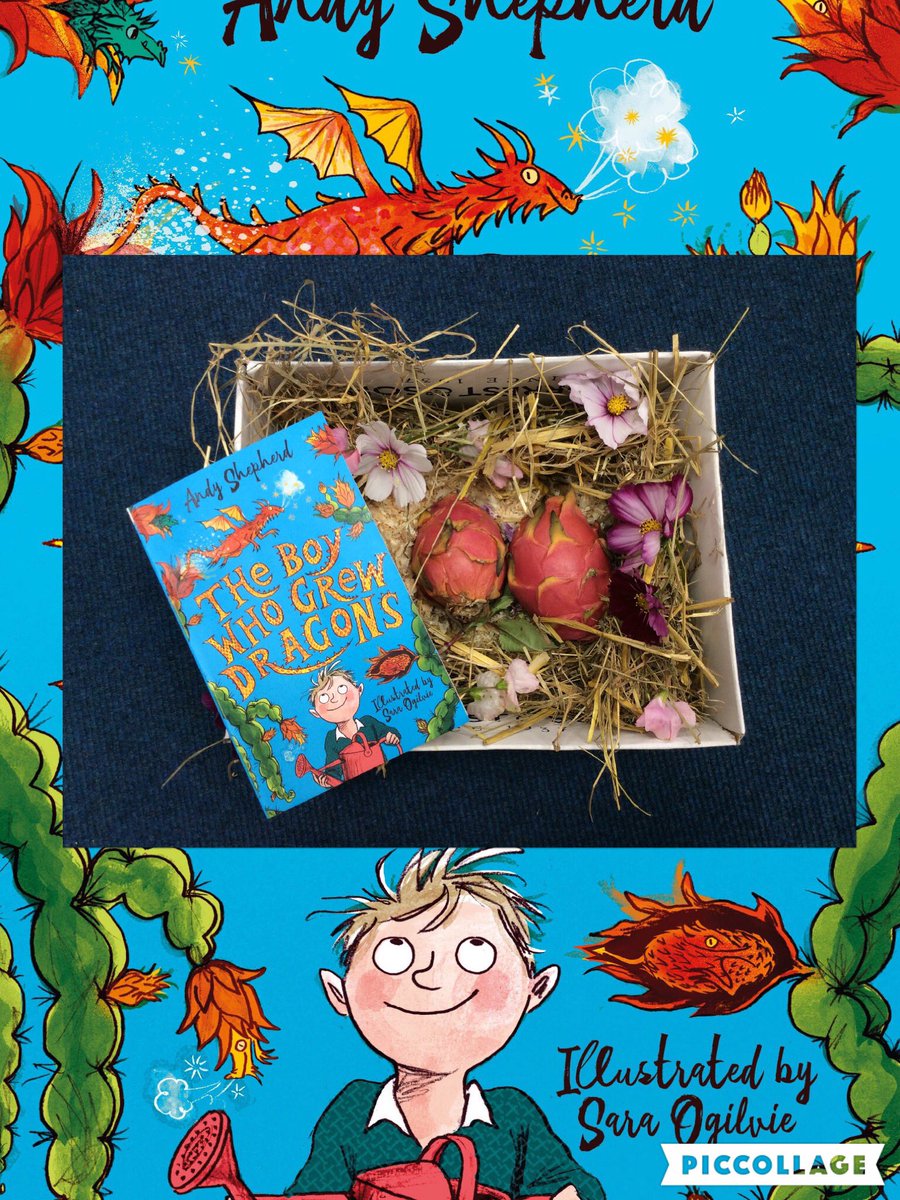 All_Saints_Sch_'s tweet photo. We have discovered the fruit Mark found was dragon fruit. Year 3 can’t wait to start reading ‘The Boy Who Grew Dragons’ by @andyjshepherd We can definitely see why dragons are more trouble than cucumbers 🥒 🐉📖 #Year3 #WholeClassReading #TheBoyWhoGrewDragons #AndyShepherd https://t.co/Z92aDyh1ij