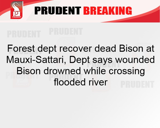 prudentgoa's tweet image. #Goa #Rains #Flooding #Bison