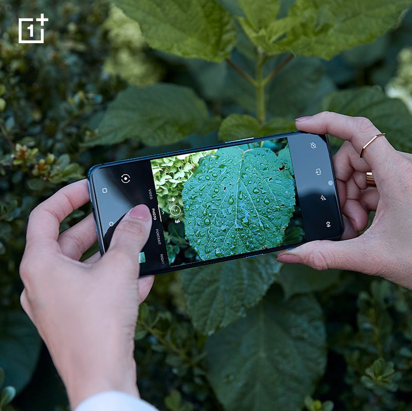 OnePlusZA's tweet image. Not a great photographer? No reason why you can't be!
#Macrophotography  #NeverSettle #OnePlus #7TPro