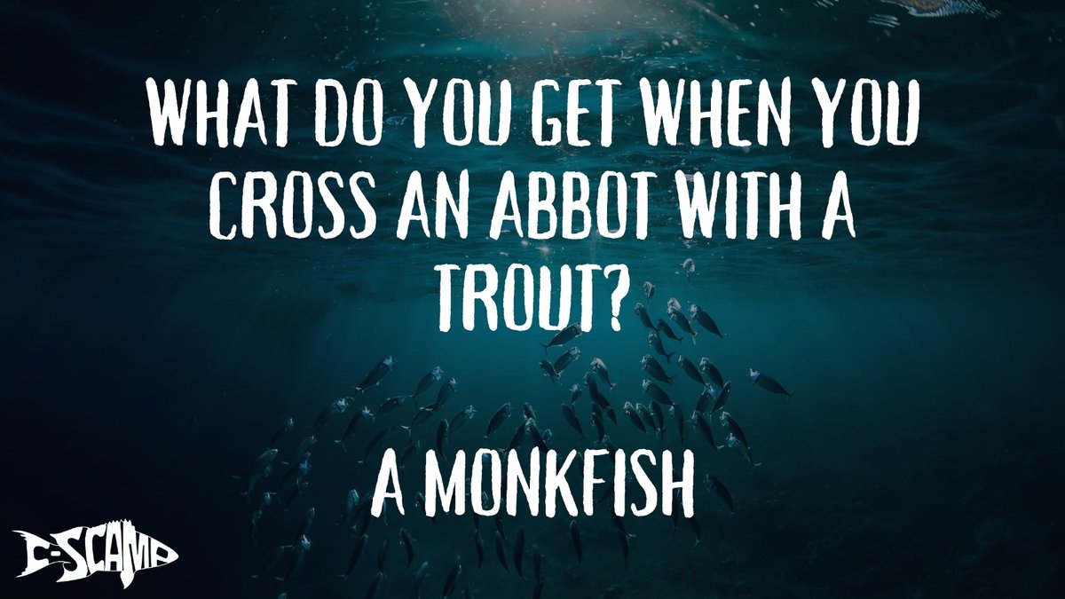 CSCAMPscience's tweet image. #FishJokeFriday #HappyFriday