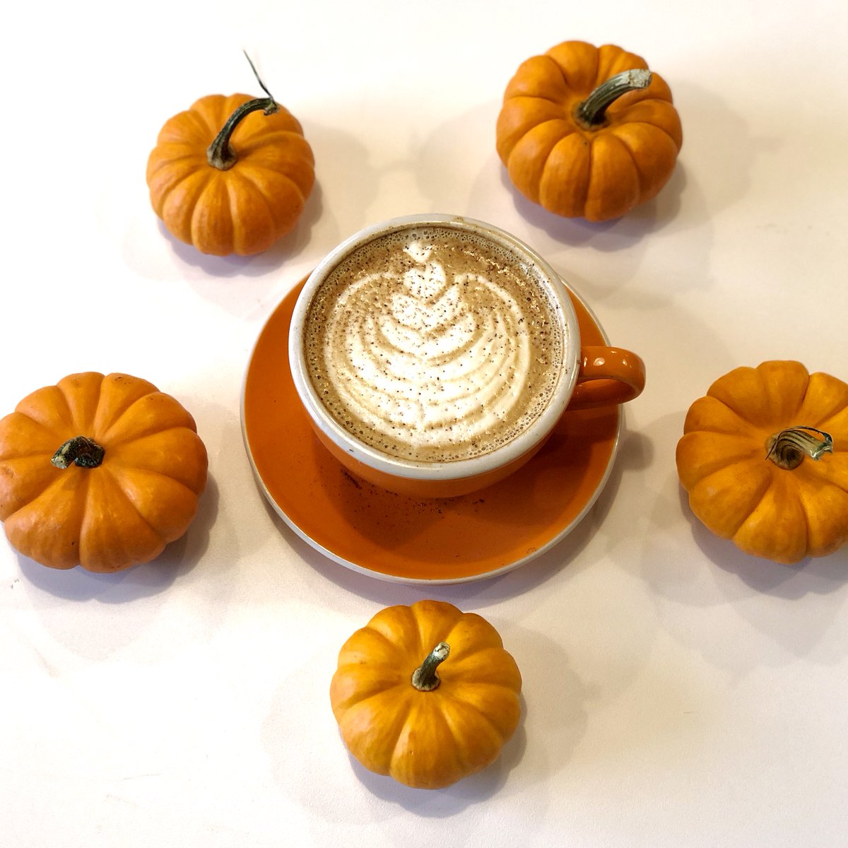 Order&Chaos Coffee tweet media