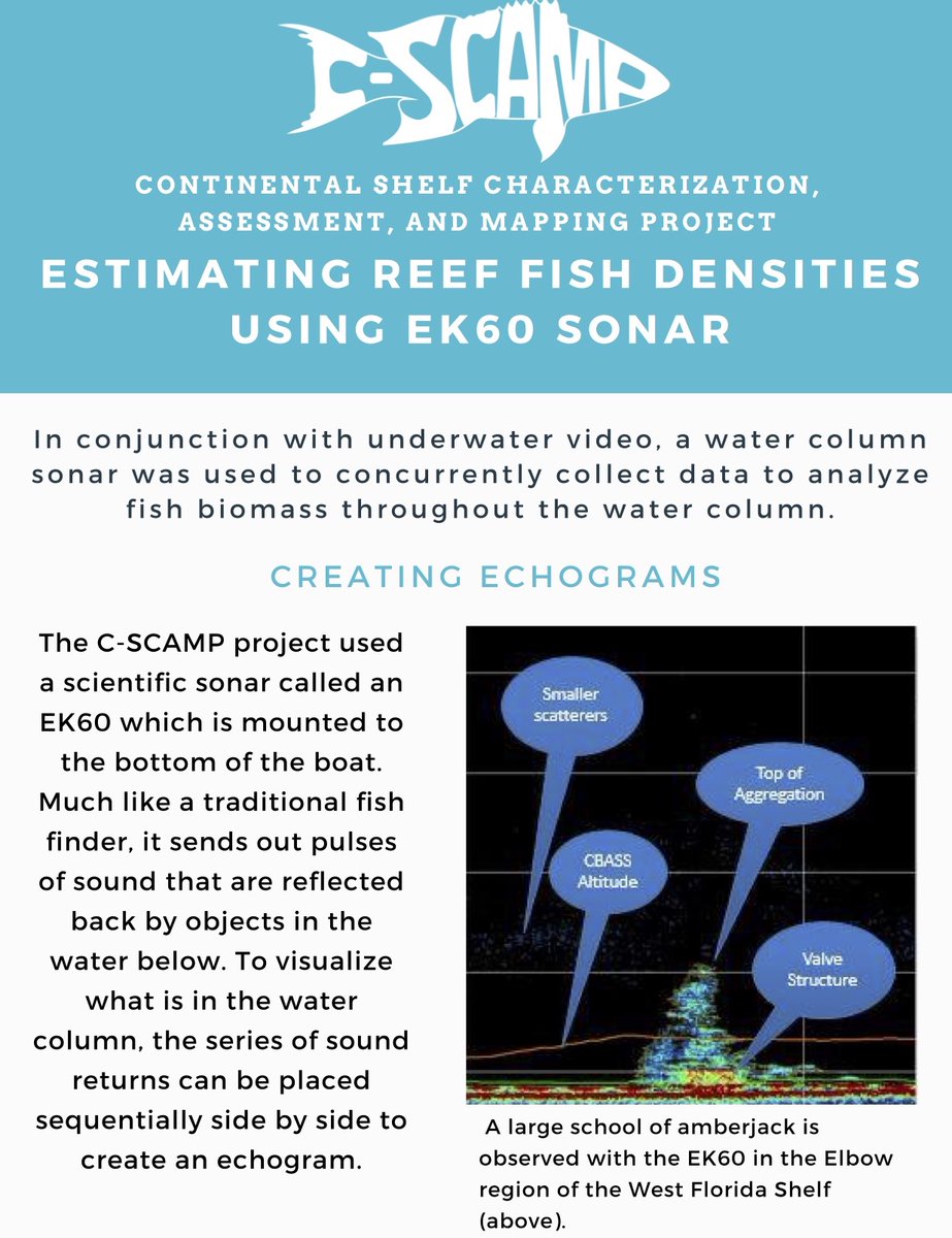 CSCAMPscience's tweet image. In conjunction with our towed underwater video, we also collect water column data using an EK60 echosounder to analyze #fishbiomass. Check out all the details with our printable infographic on our website! 
rb.gy/nzssor
#Watercolumndata #Research #Underwater #Science