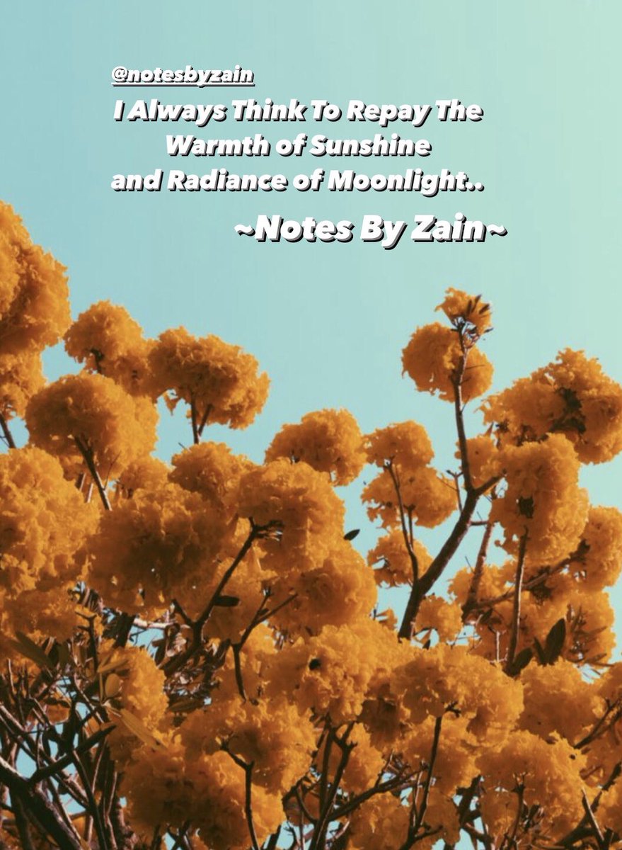 by_notes's tweet photo. I Always Think To Repay The Warmth Of Sunshine and Radiance Of Moonlight~ Notes By Zain. #NotesByZain #TheRandomRants #WritingsOfAPassanger #WhenIWrite https://t.co/jYZR3tH0Nr