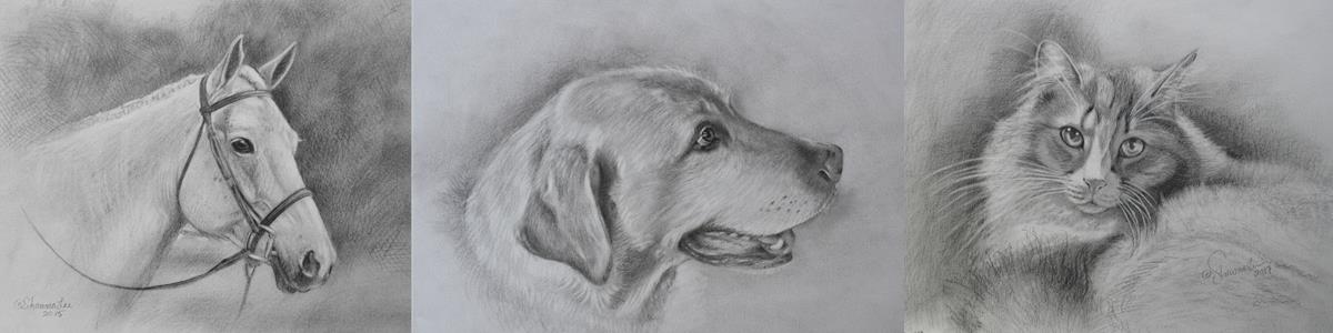 LittleBCT's tweet photo. See your animal companion lovingly captured by illustrator ShawnaLee Kwashnak with a pencil or charcoal portrait or your pet or horse. Generously donated by the artist, the bidding starts at $150. Take a look at ShawnaLee's work on her website! https://t.co/NOPDZQGwDa https://t.co/CfXrMatStl