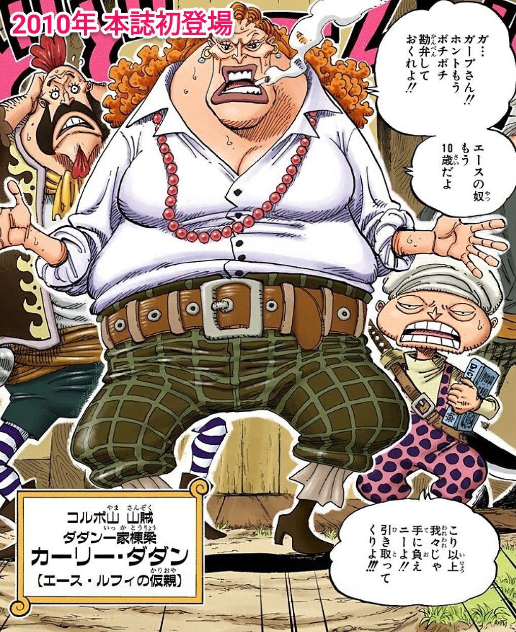 まな ルフィの母親 について 尾田先生 生きていると思います でもこの話は今でも悩んでいて もし仮にストーリーに登場するとしたら 凄く屈強な女性になるんじゃないかな そして厳格 美しい母親のはずは無いし 中年女性の様な典型的なパーマをし