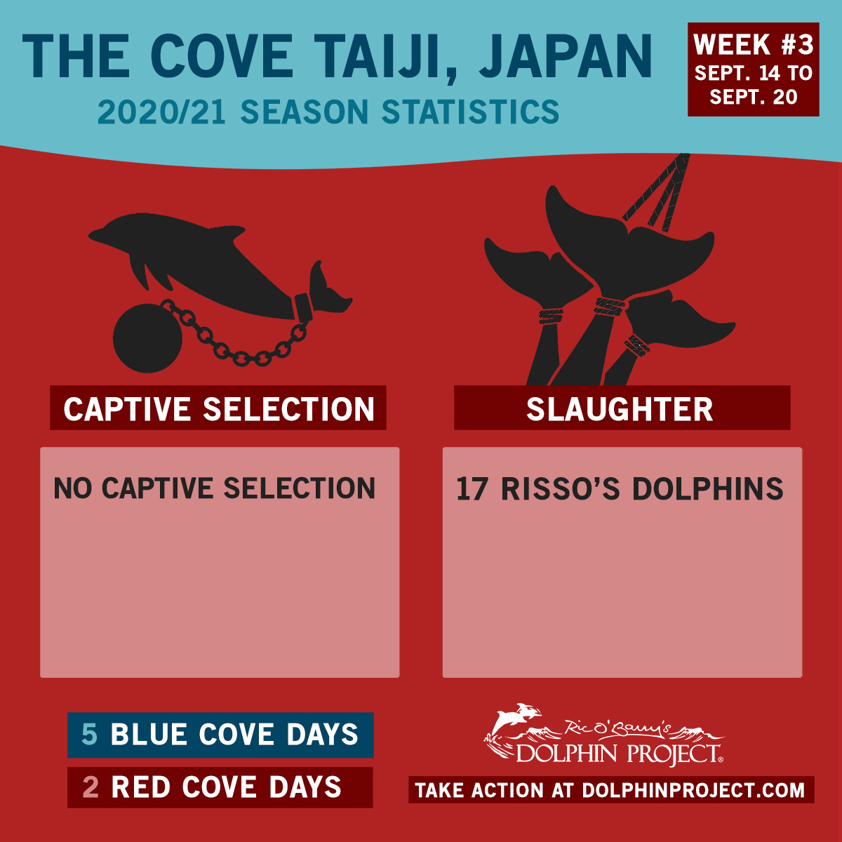 In week #3 of Taiji's dolphin hunting season, an estimated 17 Risso's dolphins lost their lives. Help be a voice for dolphins and TAKE ACTION: bit.ly/HelpSaveDolphi…
Documentation of drive hunts through a collaboration with #LifeInvestigationAgency and #DolphinProject